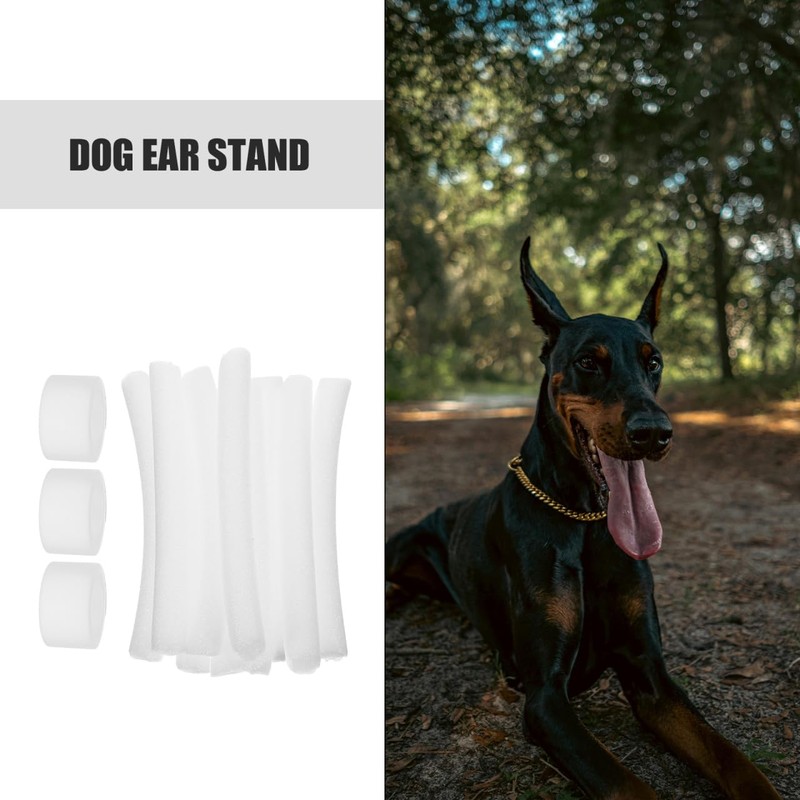 POPETPOP 10 pcs Doberman Dog Ear Posting Kit, Dog Ear