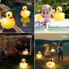 Floating Solar Pool Lights, 16 inch Waterproof Pool Lights that