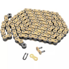 Regina 520 DR Series Chain 135DR/1004