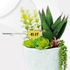 J.H. Company Set 12 Piezas Letreros Para Maceta Marcadores Plantas