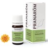 Pranarom Helichrysum (Immortel), 0.16 fl oz (5 ml) (PRANAROM Chemo