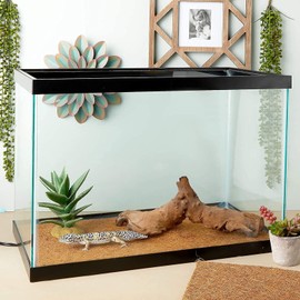 Farmlyn Creek Coco Fiber Substrate Mats for Small Pets, Natural Coir (4 Pack)