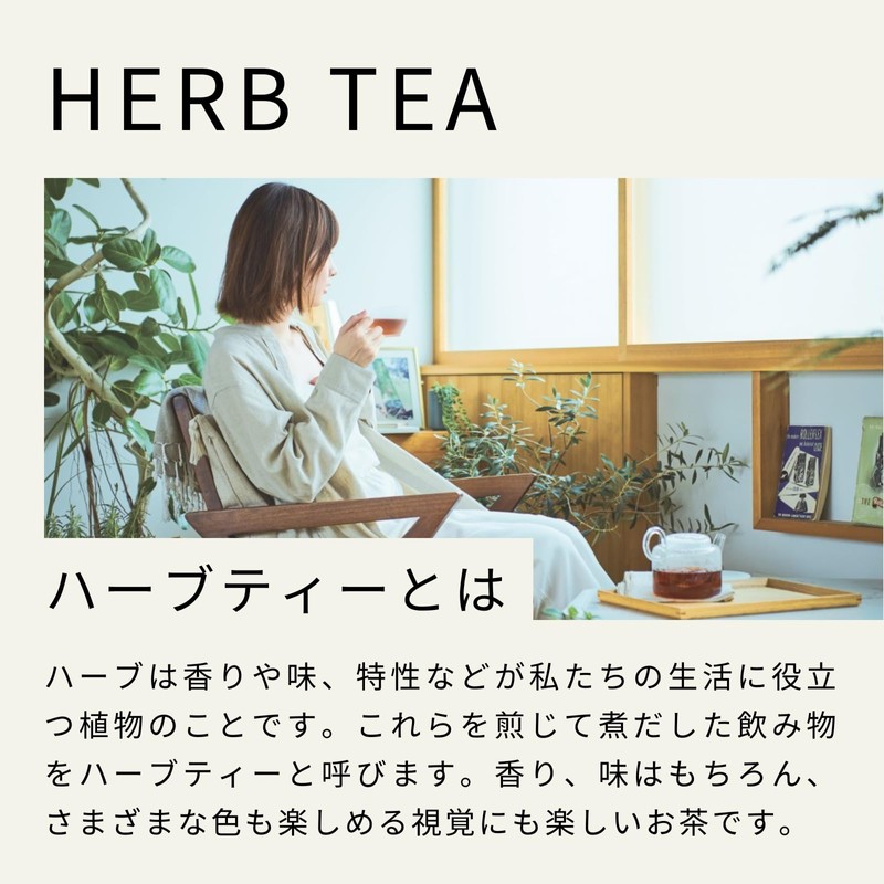 Life Tree Delicious Herbal Tea Rose Garnet (Pack of 100)