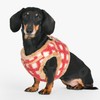 Puppia Stefan Vest Dog Harness Step-in Warm Winter Tumbling Waffle