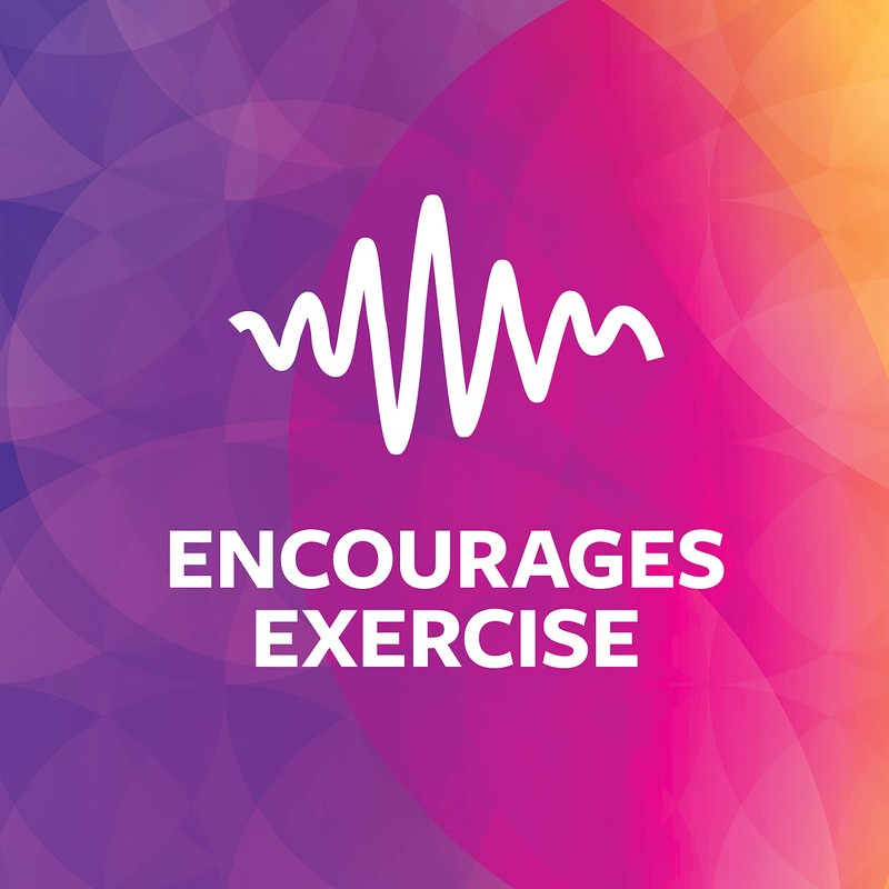 SmartyKat Race 'N Chase Electronic Motion Remote Controlled Mouse Cat