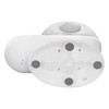 Pet Water Dispenser Snail Shape Automatic Transparent 2.8L Large Capacity