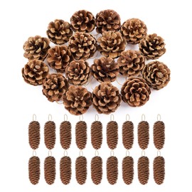 Anstore Pine Cones,36 PCS Christmas Natural Pine Cones,4-6cm & 6-8cm Fir Tree Natural Cones with String,Christmas Pinecones Ornaments for Thanksgiving DIY Crafts Christmas Tree Decor (2 Styles)