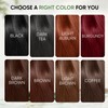 Brown Hair Dye Shampoo for Women Men, Gray Hair Coverage,