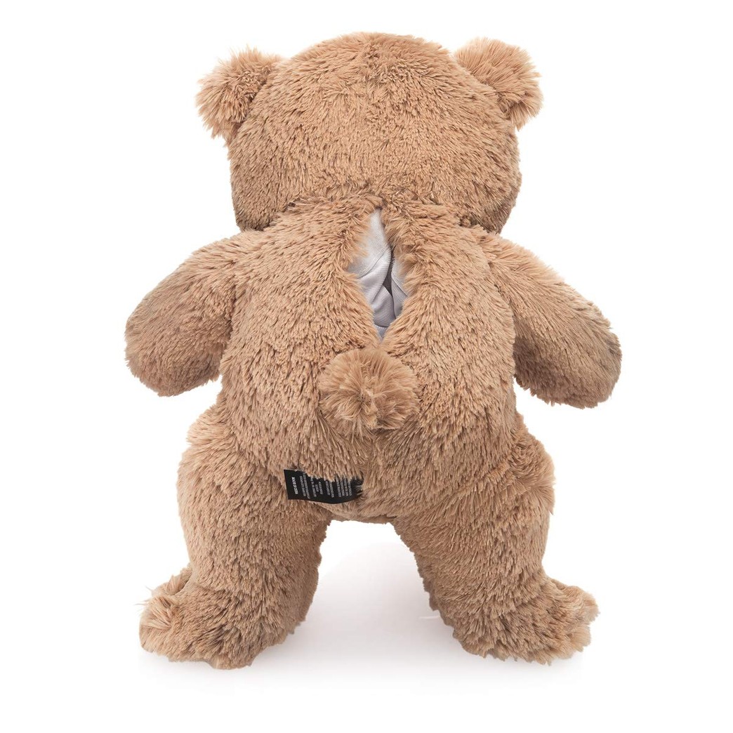 Details about   Teddy Bear with Pouch Easily Insert a Recordable Sound Teddy Bear W/ Pouch 