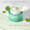 Cell Fusion C Cica Calming Down Cream 50ml