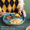 4 Pcs Divided Dinner Plates - Plastic Plates, Picnic Set,