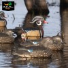 AVERY GREENHEAD GEAR GHG PRO GRADE LIFESIZE LS WOOD DUCK