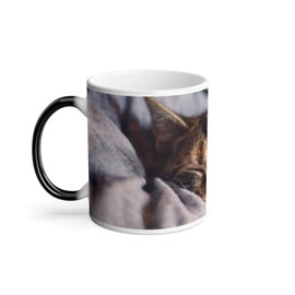 Thermoreagierende Tasse Magische Tasse – schlafende Tiger-Kätzchen, niedlich, Relax Chill – 325 ml