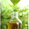Ceylon Cinnamon Leaf Essential Oil | Cinnamomum Zeylanicum | Orthodox