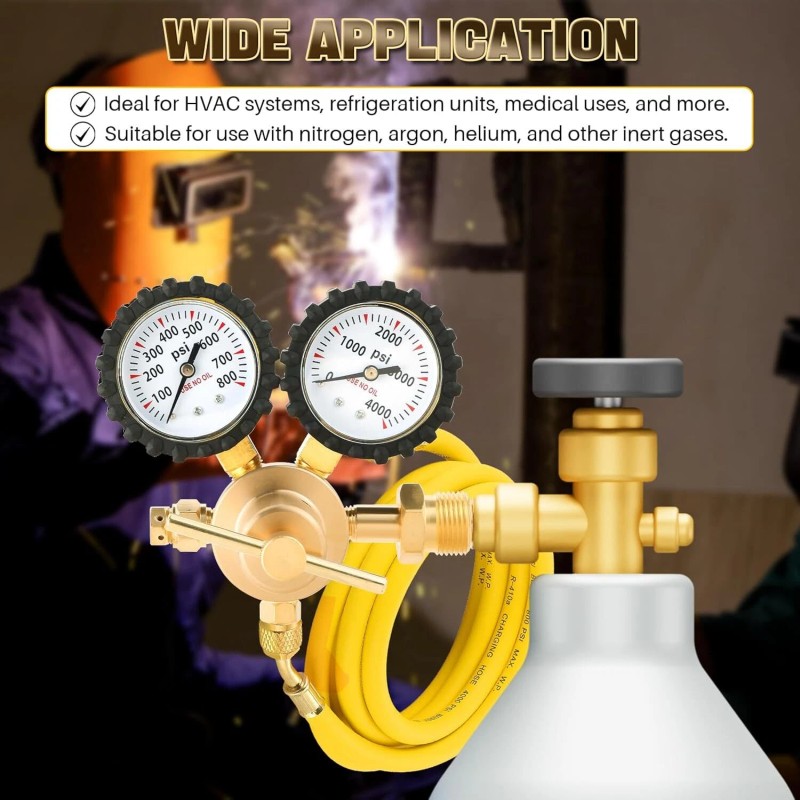 Unbranded Professional Nitrogen Regulator w/ Hose 0-800 PSI Output Pressure