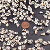 SigMntun SigMntun Polished Dalmatian Jasper Crystal Chips 200 Pcs -