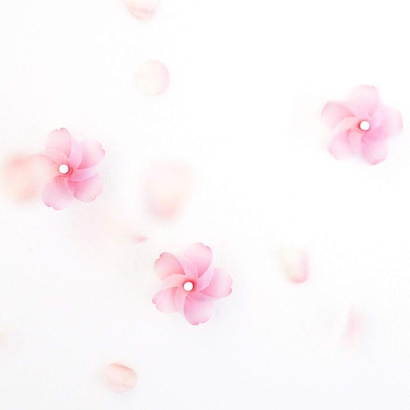 Ash Concept (h concept) Design Accessories, Pink, W3 x D2.4