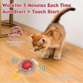 DWYYWSM Interactive Cat Ball Toys, Electric Pet Toy with Plush Cover and Plush Ball