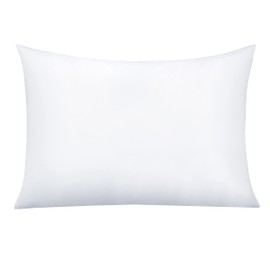 NTBAY Queen Pillowcase - 1 Pack Brushed Microfiber 20x30 Pillowcase - Soft, Wrinkle-Free, Fade-Resistant, Stain-Resistant, White with Envelope Closure