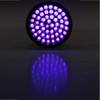 UV Light Torch 51 LEDs Diameter x Length 55 x