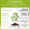 Auwald Kren/Horseradish & Nasturtium Drops Organic - High Quality Extract,
