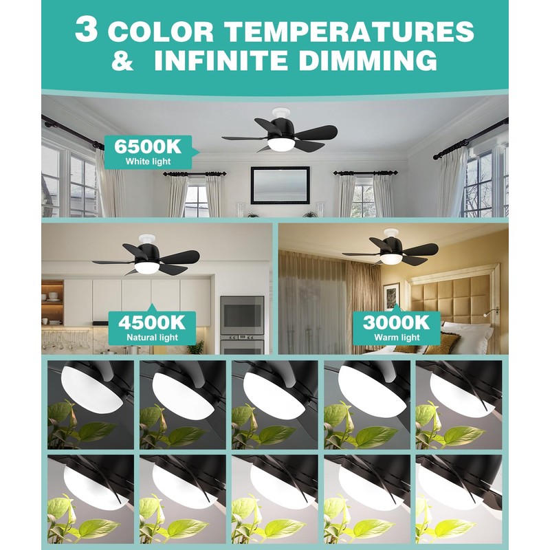 HK Socket Fan Light, 20 Inch Screw Ceiling Fans with