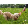 Rosewood Double Tug Rope Toy For Dogs, multi