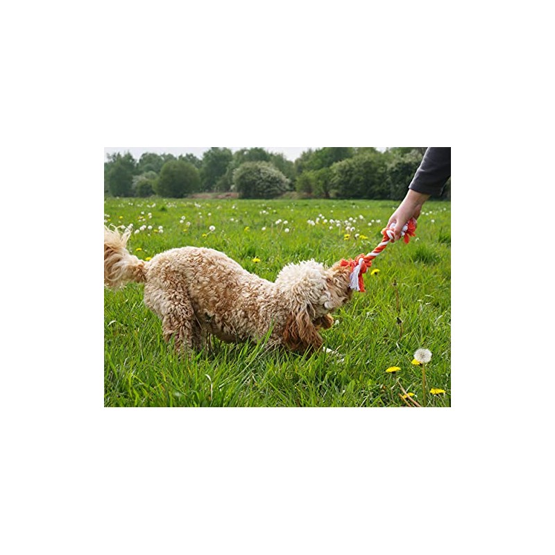 Rosewood Double Tug Rope Toy For Dogs, multi