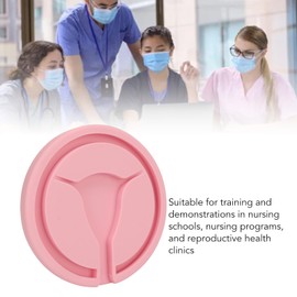 IUD Training Model, Female Intrauterine Contraceptive Training Model, Intrauterine IUD Training Model for Women for Teaching Clinic Presentation