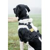 Brody The Dog heavy duty dog harness, for Medium and