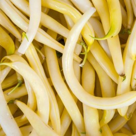 Back To Nature Seed Company Golden Wax Beans - Seeds - Non Gmo - Heirloom Seeds – Bean Seeds - 30+ Seeds