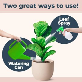 TPS NUTRIENTS Fiddle Leaf Fig Plant Food for All and 8 oz (1/2 Pint)