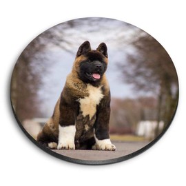 1 x Round MDF Magnet - Large American Akita Puppy Dog 15711