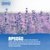 Apsogo Lavender - Dried Organic Lavender from Greece - Premium