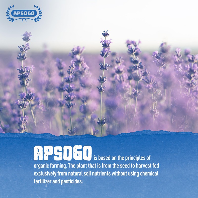 Apsogo Lavender - Dried Organic Lavender from Greece - Premium