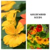 100+ Mix Nasturtium Seeds (Tropaeolum majus) Open Pollinated Easy to