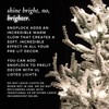 SnoFlock The Original Premium Self-Adhesive Snow Flock Powder with ShimmerSpec