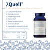 Dr. Wunder® Liposomal Iron 21 mg: 45 Vegan Soft Capsules