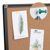 Board2by Cork Board Bulletin Board 36 x 48, Foldable Notice