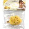 Bellini Mediterranean Natural Sponge Silk Fine No. 7