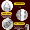 FIXXELY Cone Point & Flat Head Grub Screws Set of