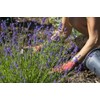 Organic Lavender Soil Mix by Gardenera - Provide The Best