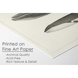 Vintage Whales Wall Art Prints (Set of 6) - Unframed - 8x10s | Beach Décor | Nautical Beach Décor Collection | Capture the Serenity of the Sea with this Delightful Ensemble | Bathroom Décor