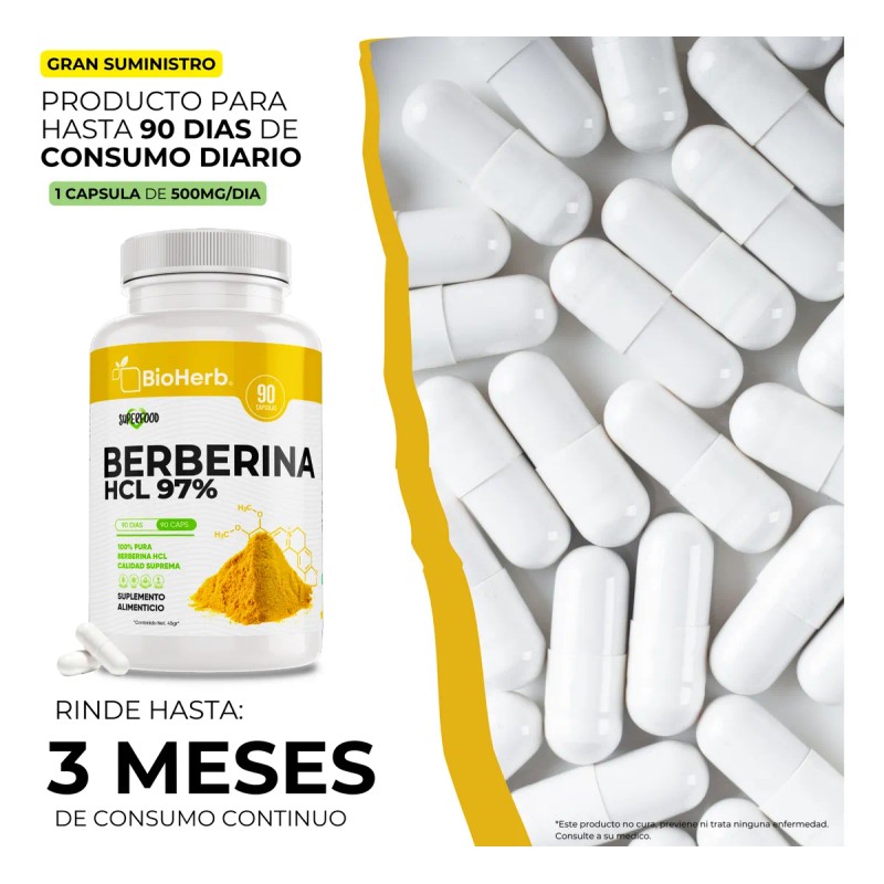 Berberina Hcl Al 97 Clorhidrato Maxima Absorcion 90 Cpsulas