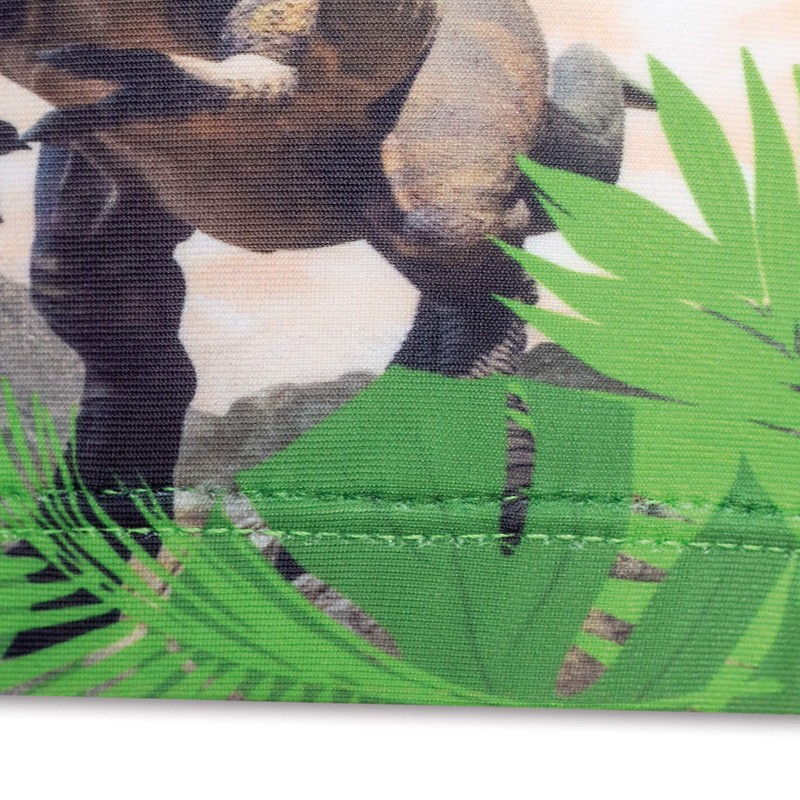 ROTH Boys Tyrannosaurus Fabric Swimming Cap 4-9 Years Baby Blue