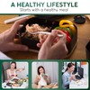 Umami Bento Box Adult All-In-1 w/4 Utensils, 2 Sauce Jars