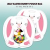 Easter Candy Jelly Beans Filled Easter Bunny Pouch 2 Pack,