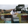 Manuka Honey UMF 10+ (MGO 261+) Pure New Zealand Honey,