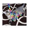 Rainbow Cat Charmer