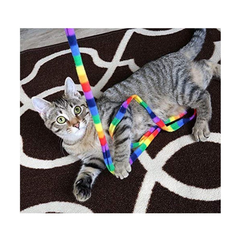 Rainbow Cat Charmer
